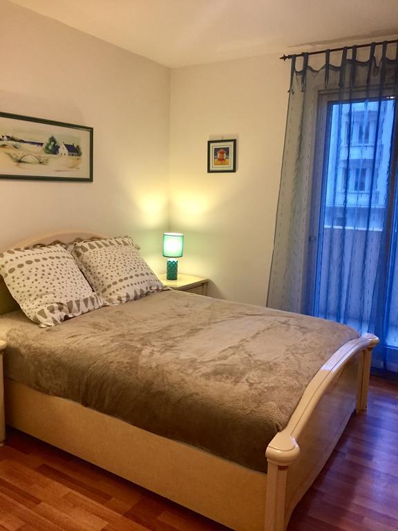 Rue De France Le Renoir Appartement *
